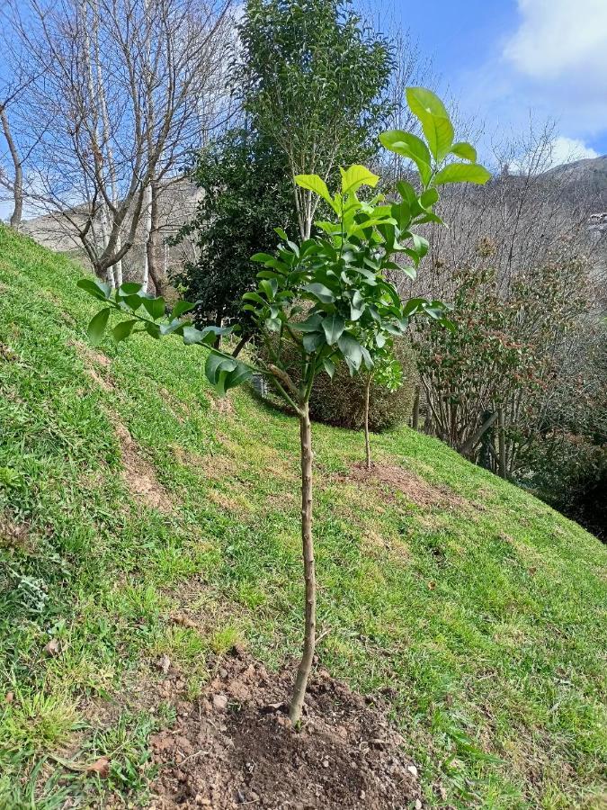 Affittacamere La Casa De Nuria Onís Esterno foto